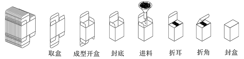 立式装盒机装盒流程.gif